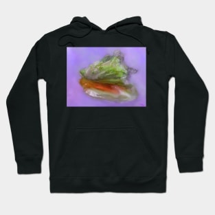 Caribbean Conch Shell Hoodie